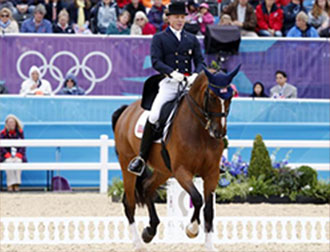 DRESSAGE DRESSAGE